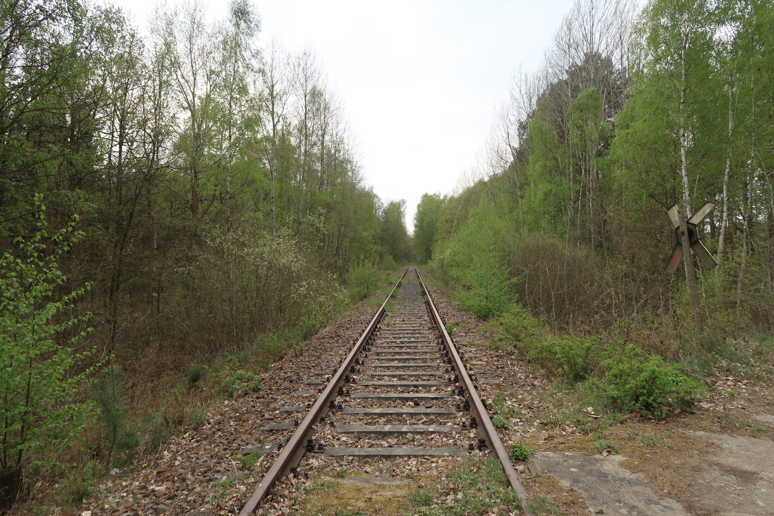 IMG_3551 2 IMG_3551 2