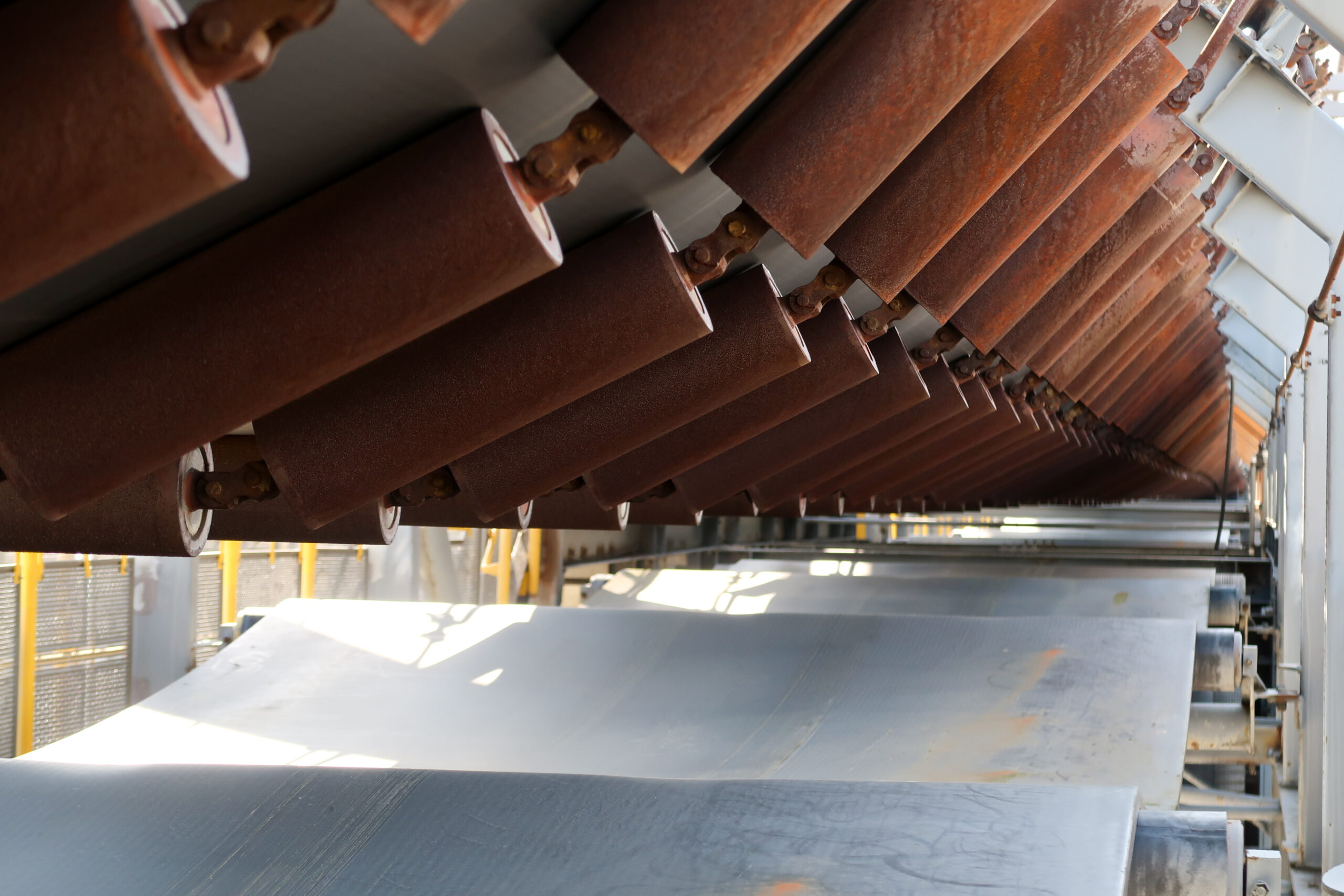 IMG_3591 2 IMG_3591 2