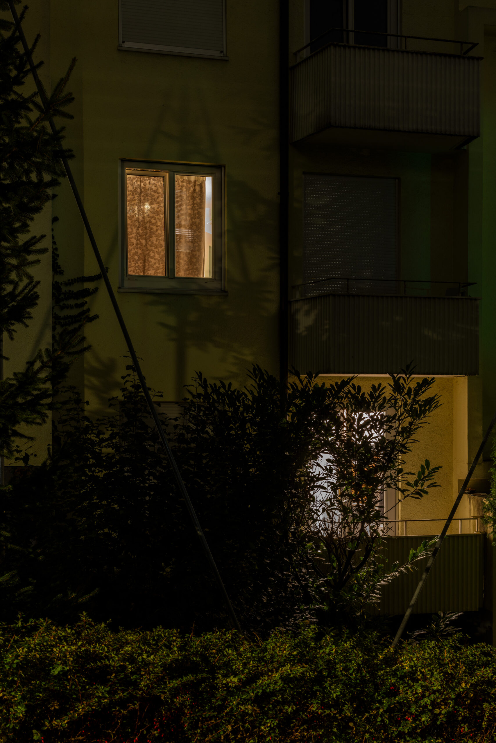 ff-241127-HF-Foto-Schelker-David-BilderBilderBilder-befristet-David-Schelker-012