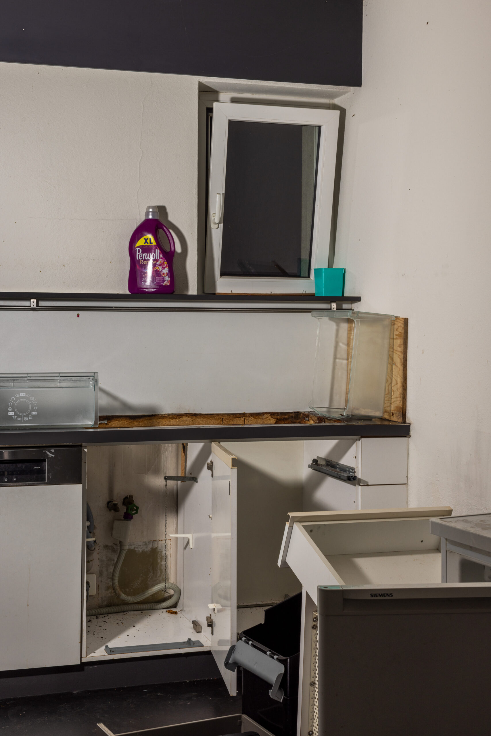 ff-241127-HF-Foto-Schelker-David-BilderBilderBilder-befristet-David-Schelker-016