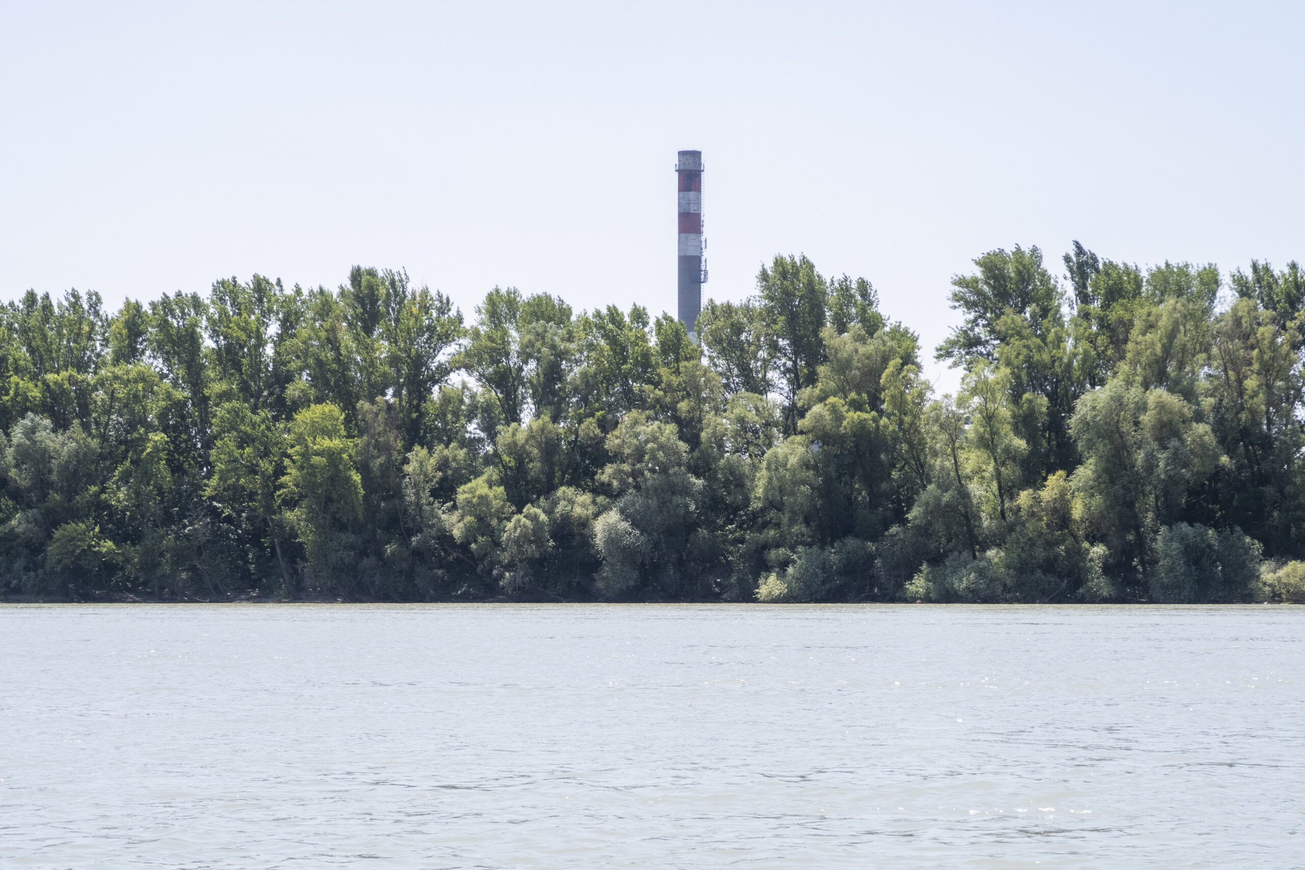 IMG_9726 2 IMG_9726 2