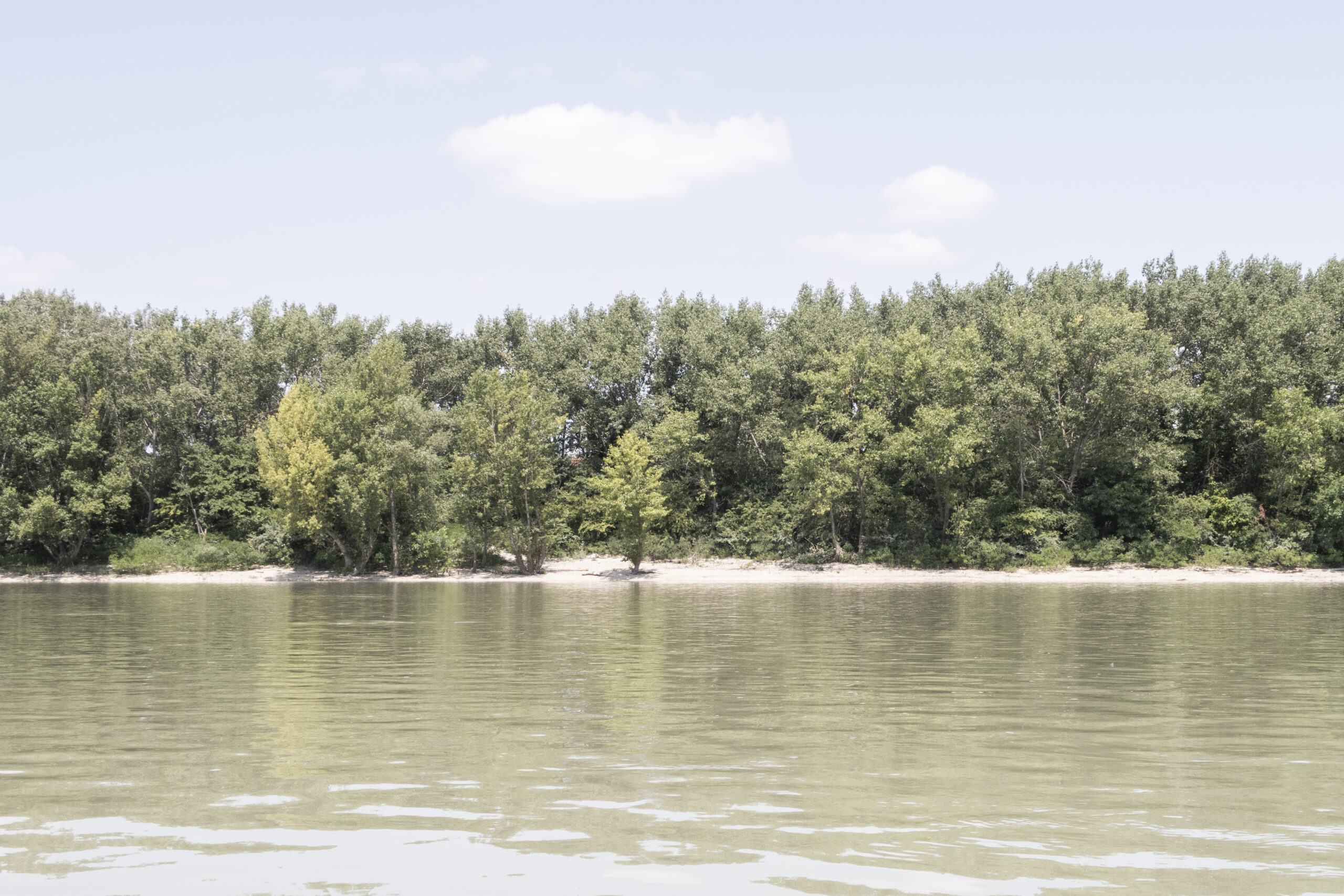 IMG_9759 (Kopie) IMG_9759 (Kopie)