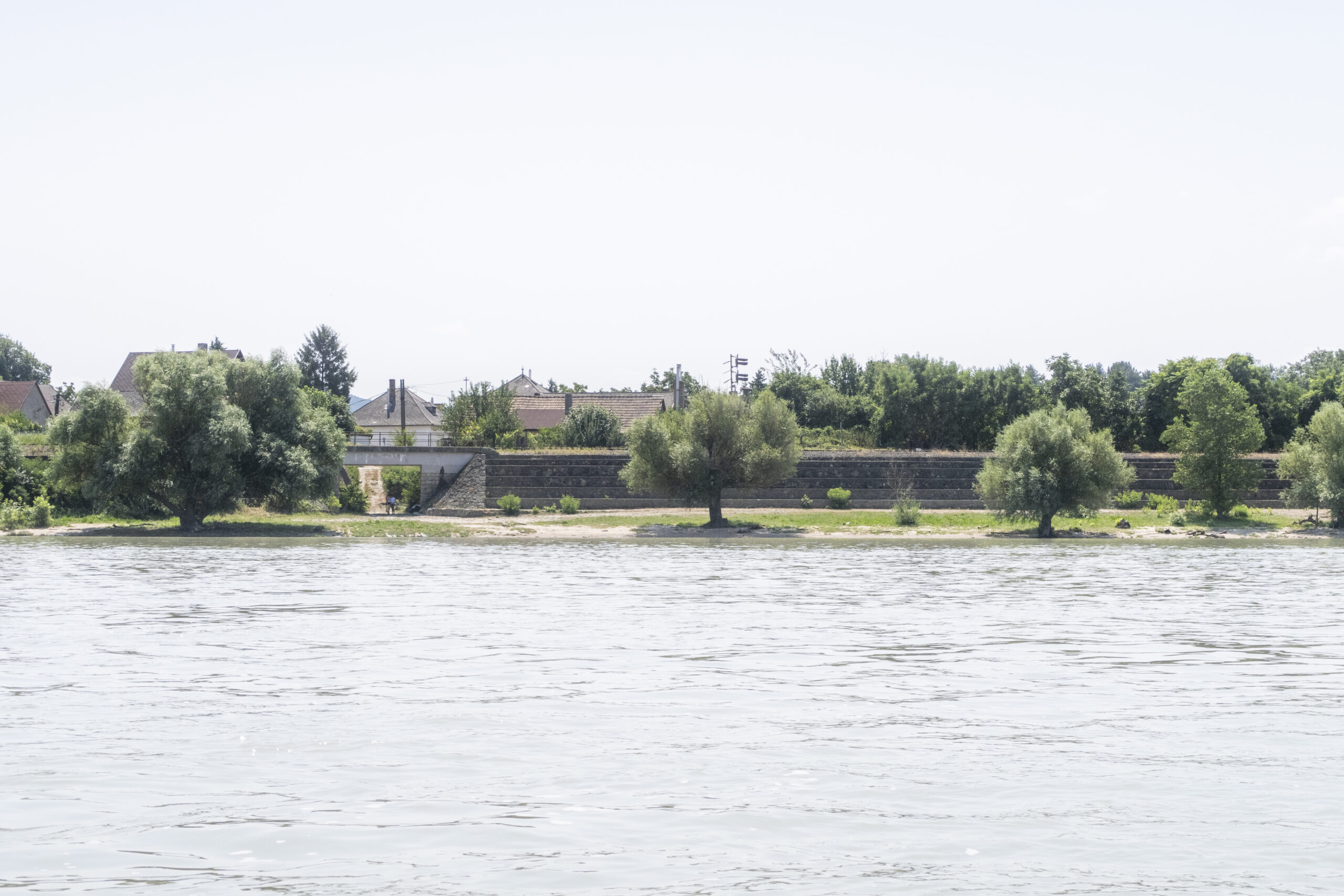 IMG_9793 2 IMG_9793 2