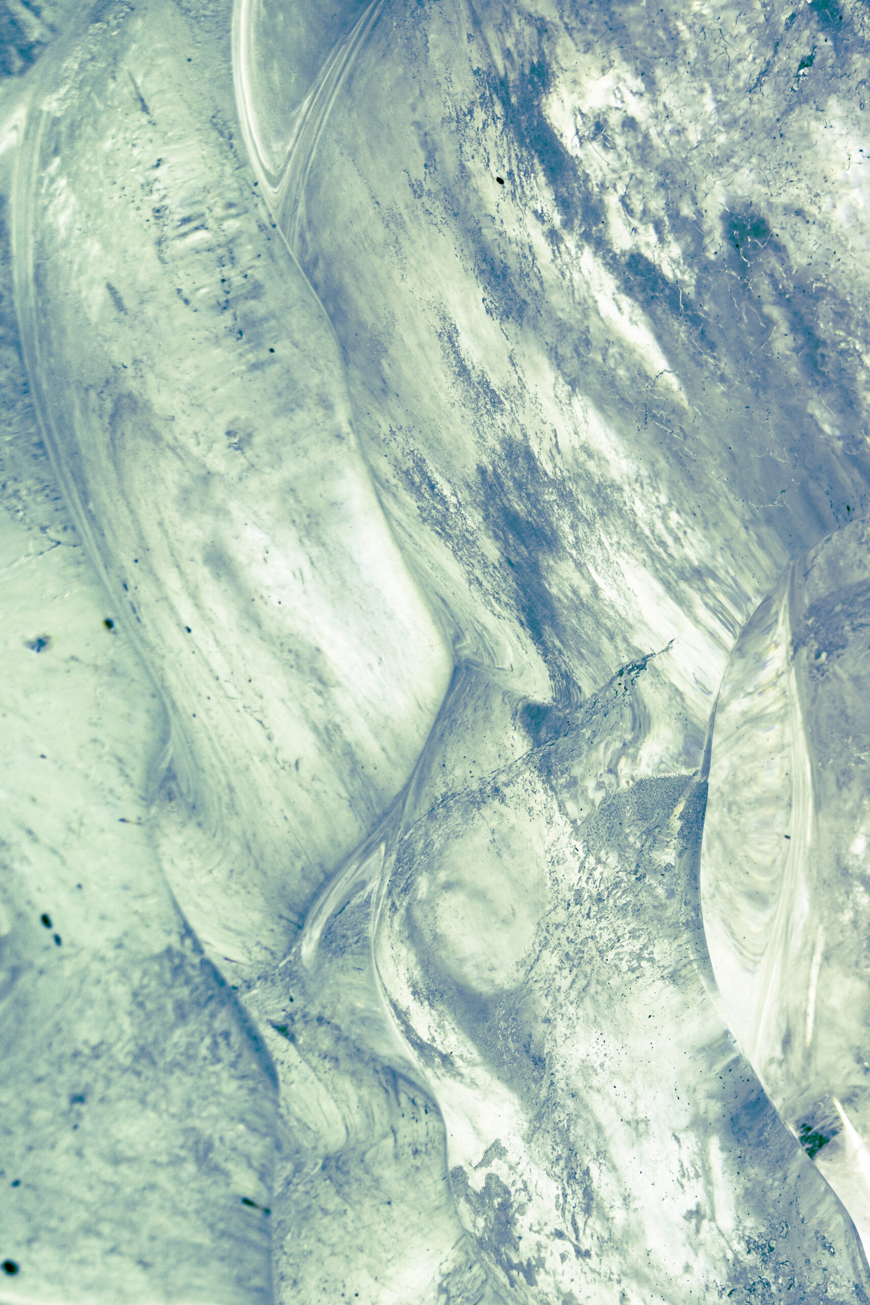 _E8A0362 (Kopie) _E8A0362 (Kopie)