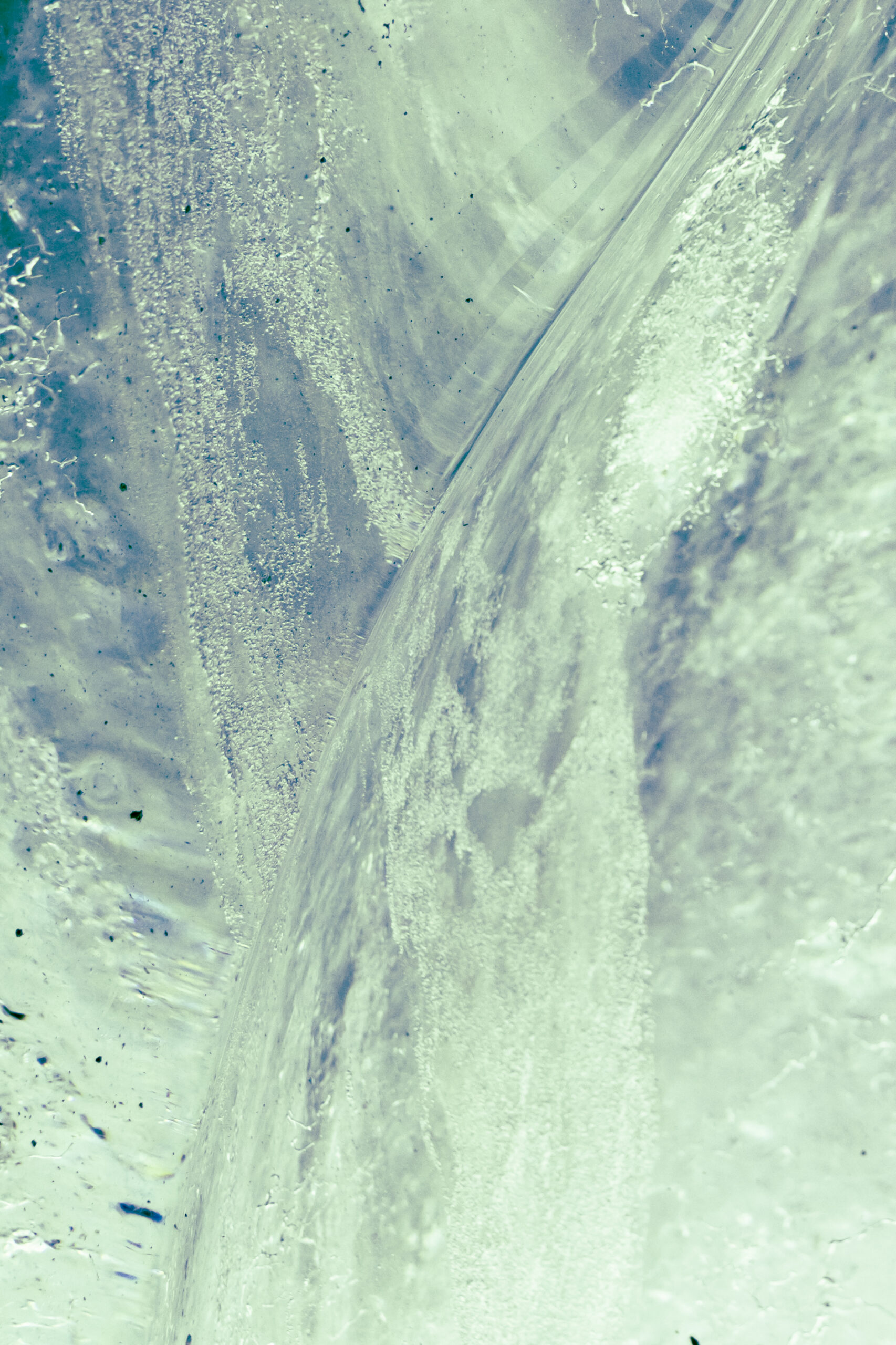 _E8A0369 (1) (Kopie) (Kopie) _E8A0369 (1) (Kopie) (Kopie)