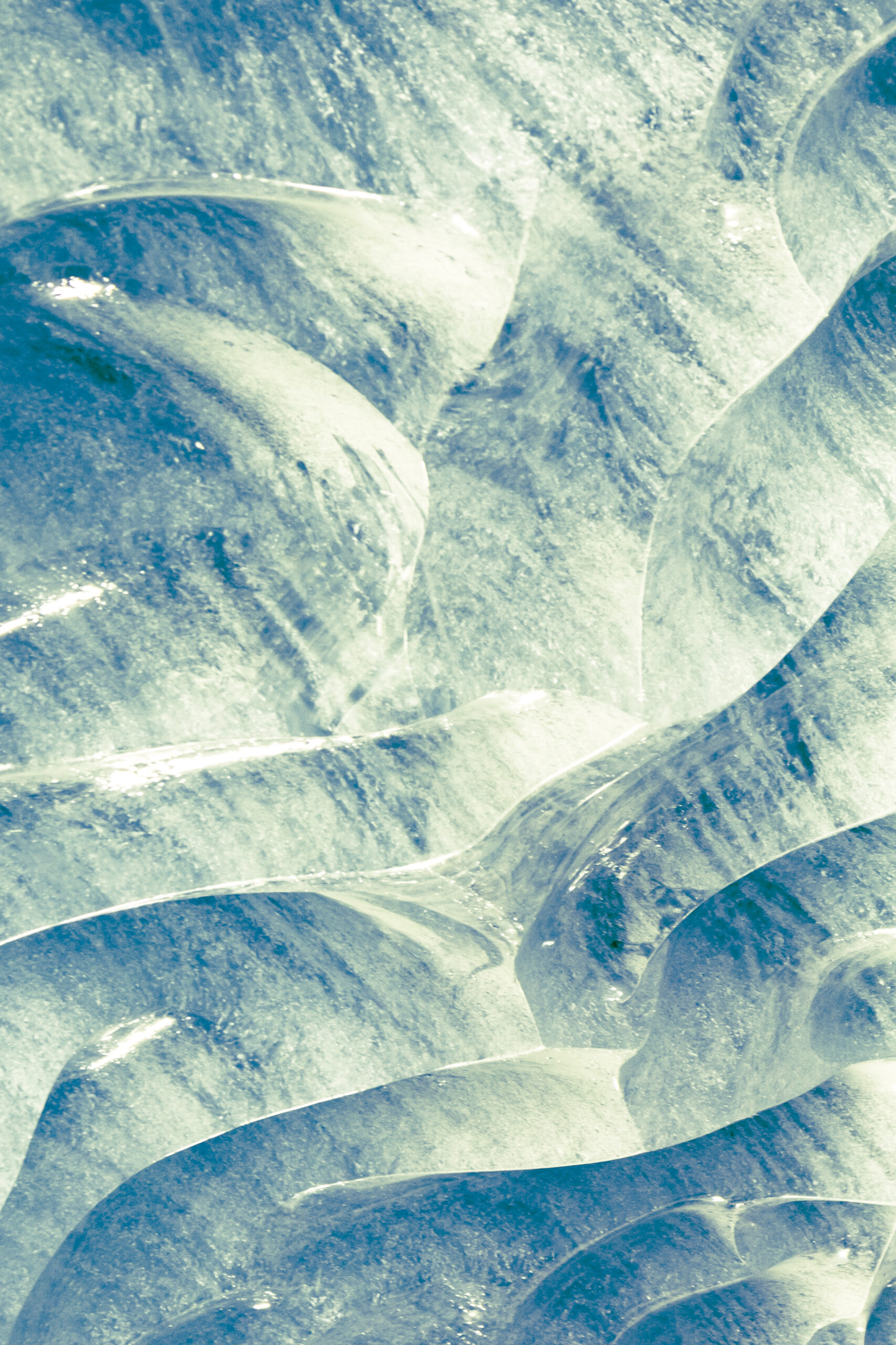 _E8A0383 (Kopie) _E8A0383 (Kopie)