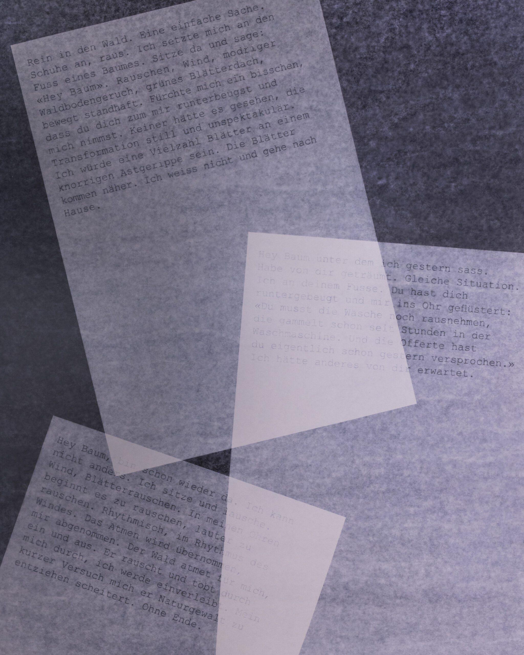 Summerschool_DS_250729_13 Summerschool_DS_250729_13