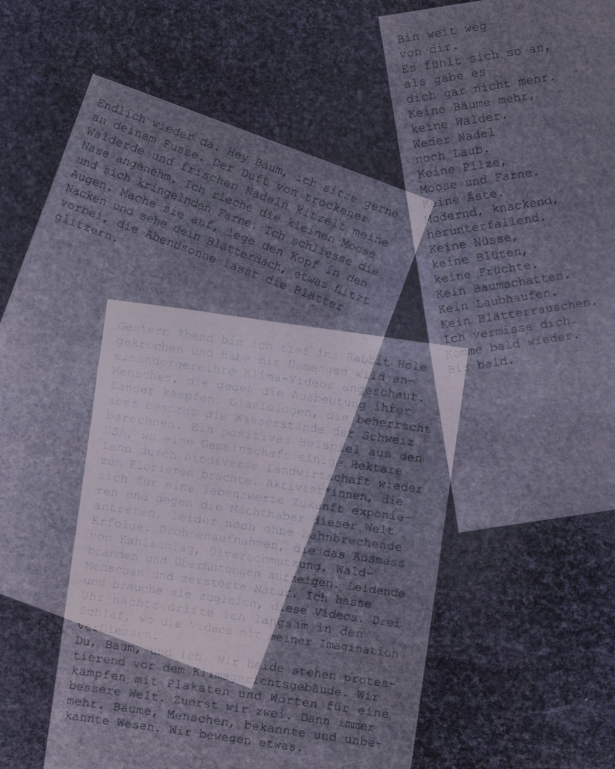 Summerschool_DS_250729_14 Summerschool_DS_250729_14