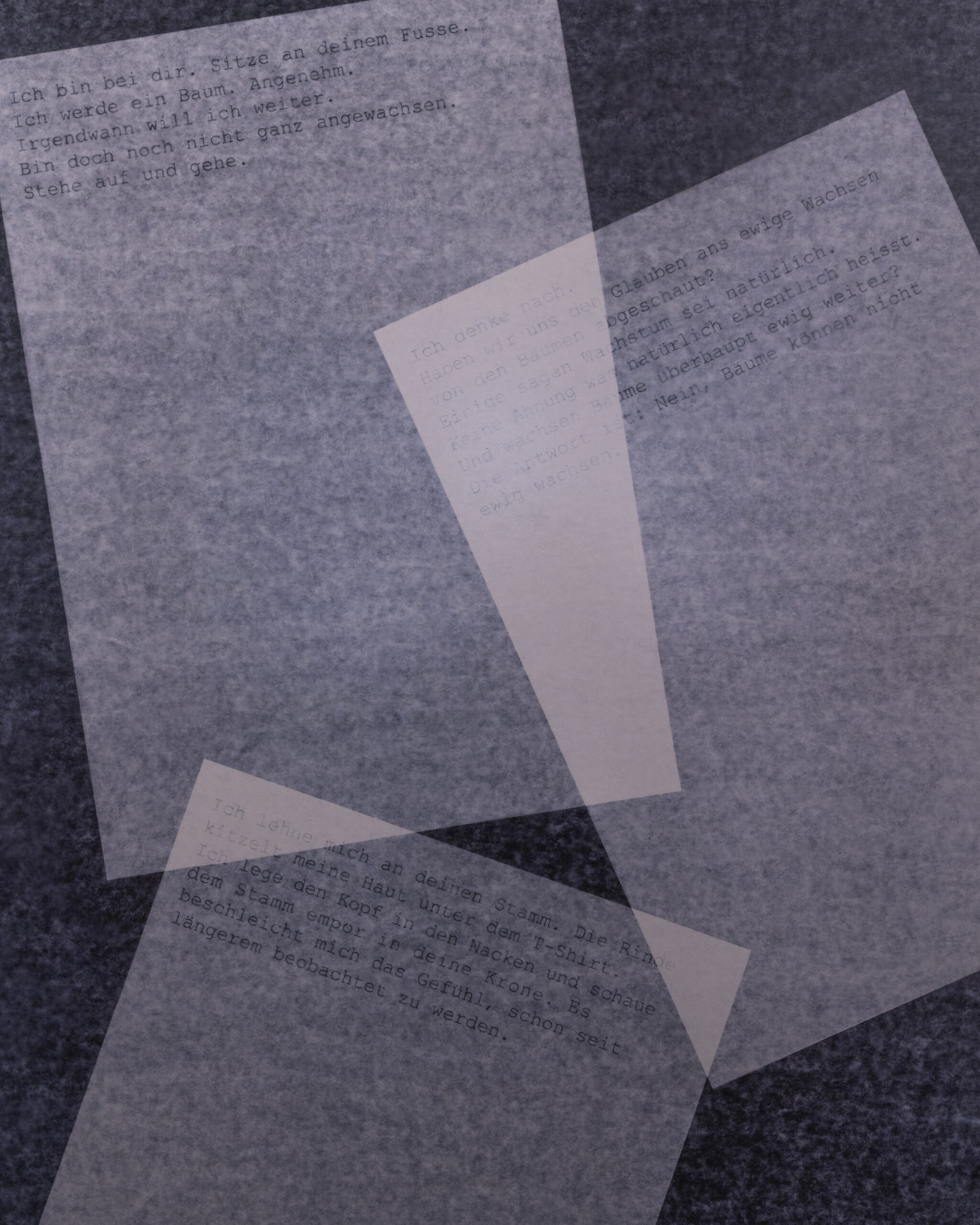 Summerschool_DS_250729_15 Summerschool_DS_250729_15