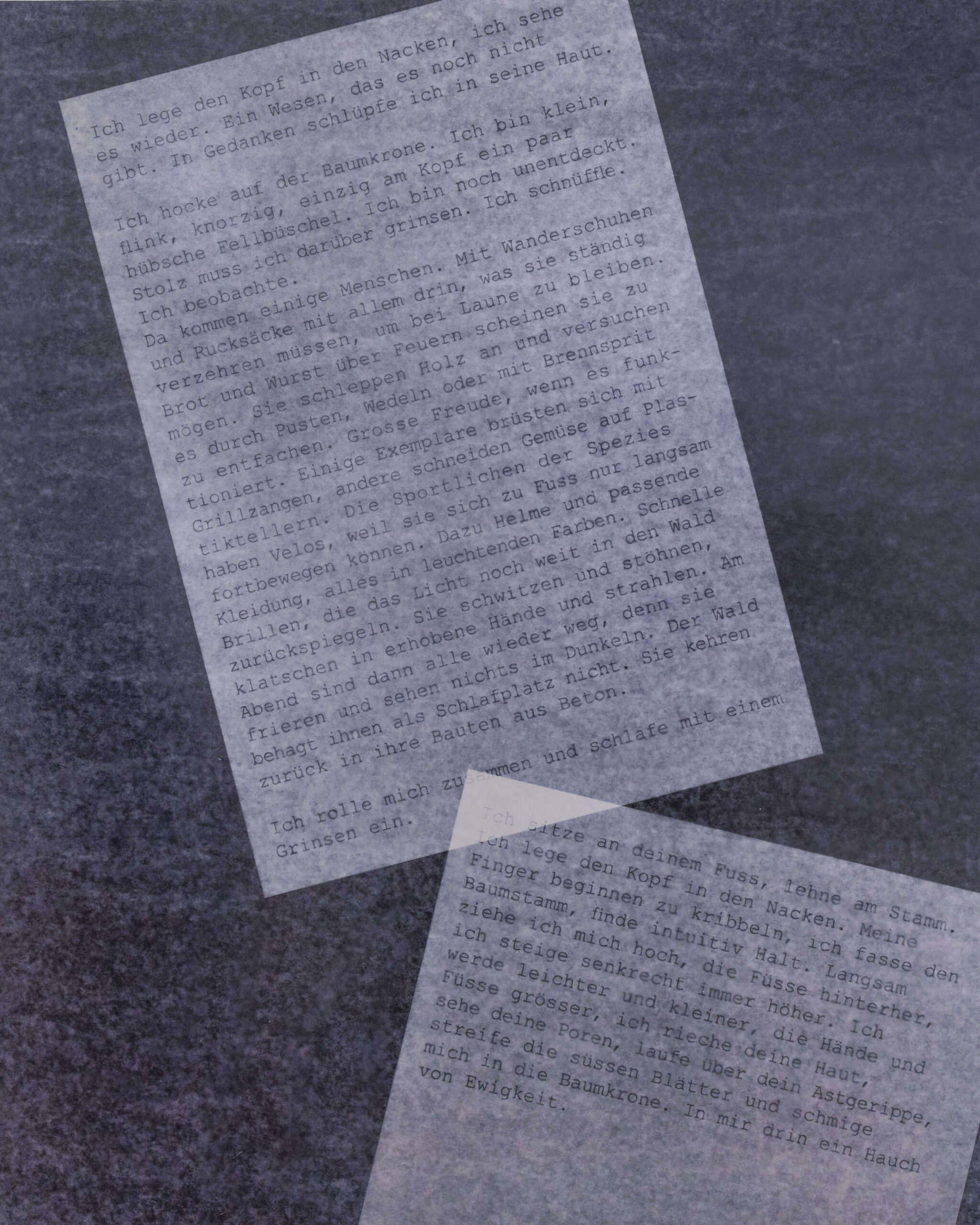 Summerschool_DS_250729_16 Summerschool_DS_250729_16