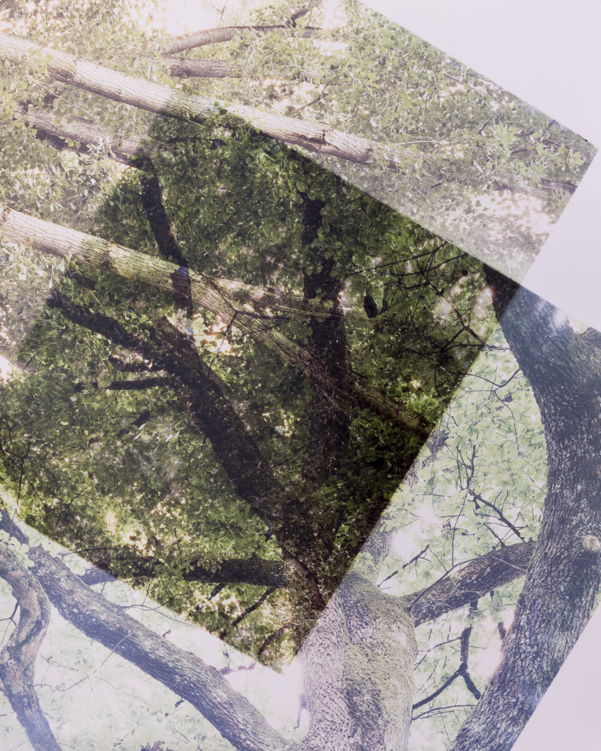 Summerschool_DS_250828_01 Summerschool_DS_250828_01