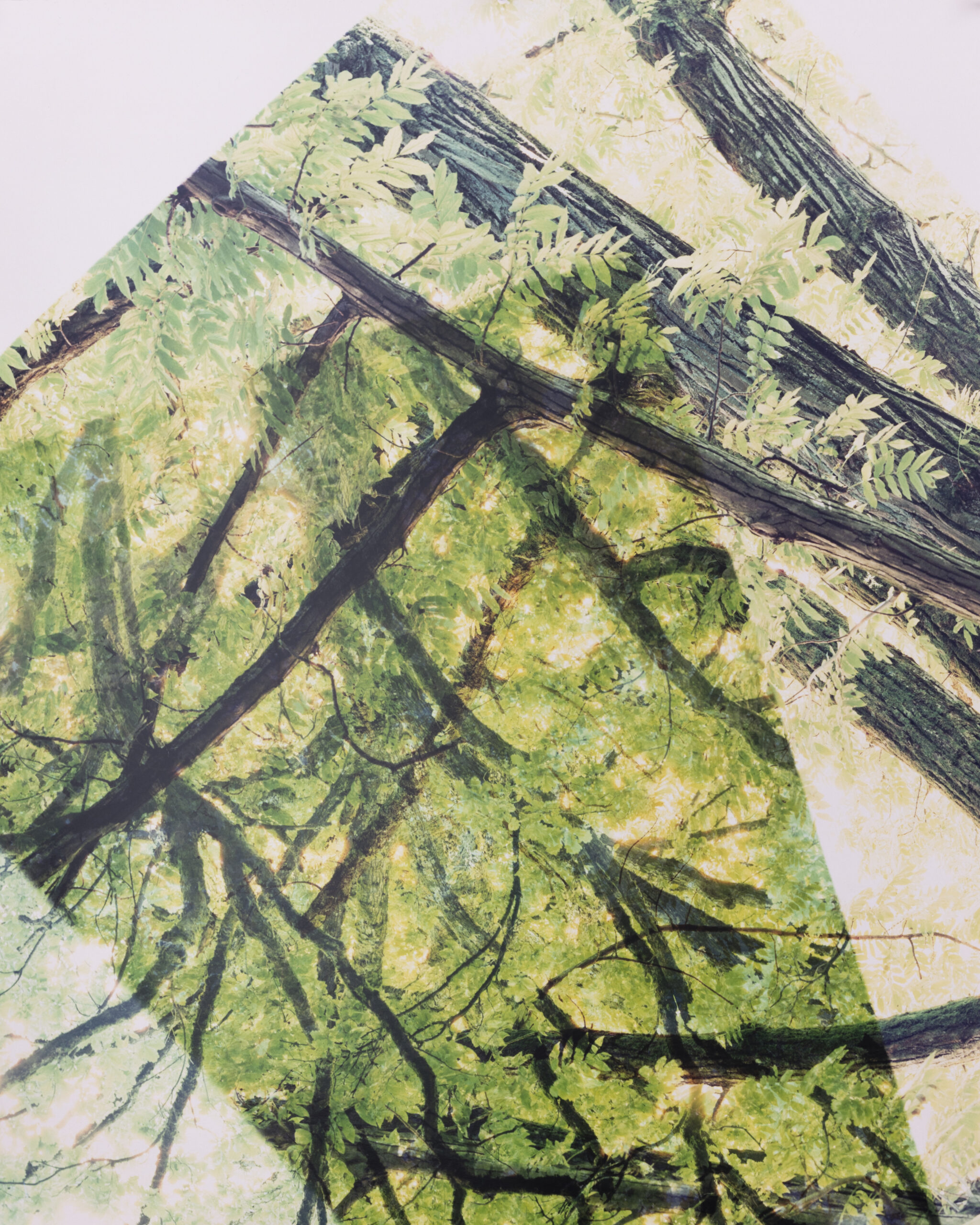 Summerschool_DS_250828_02 Summerschool_DS_250828_02