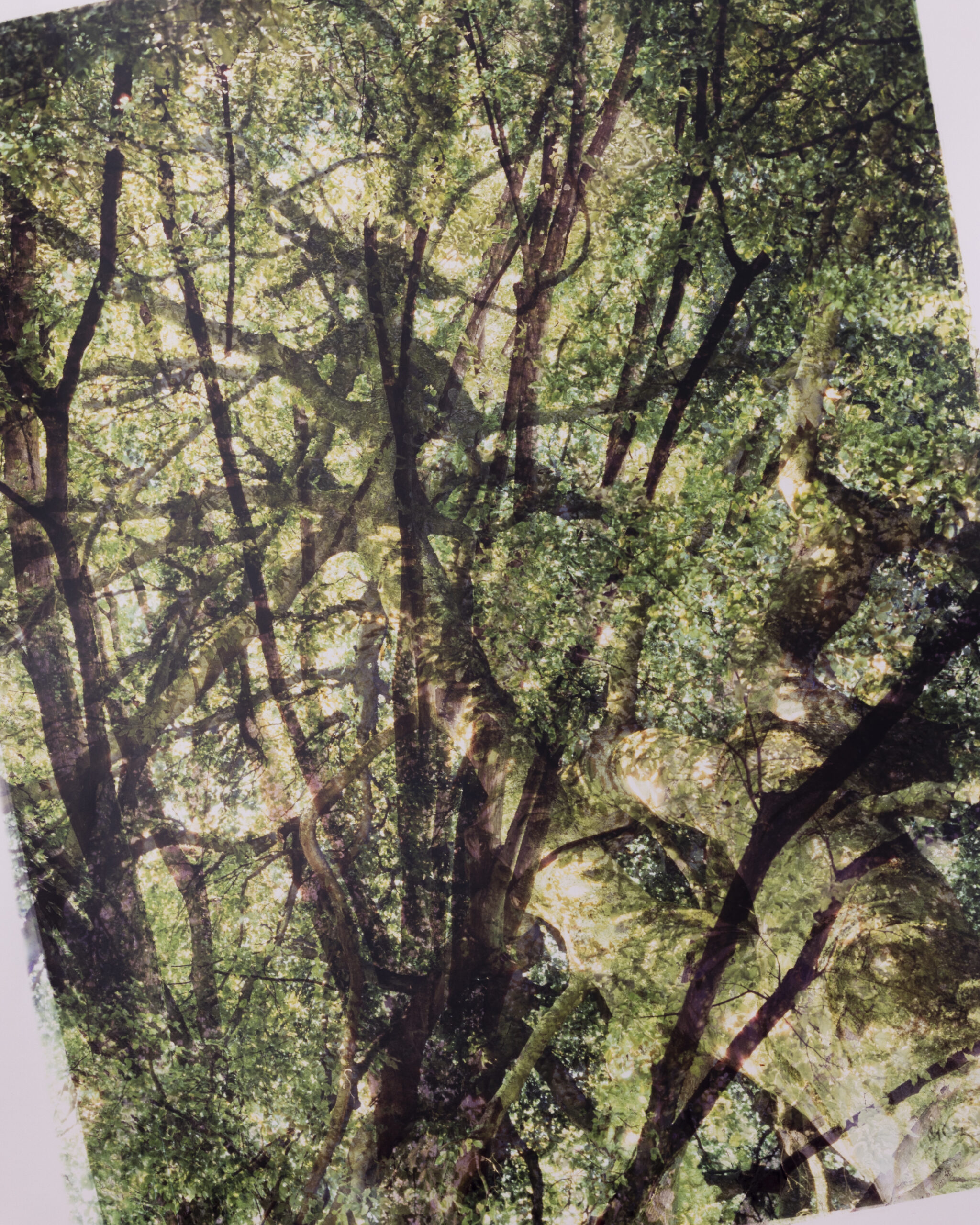 So grün wie noch nie