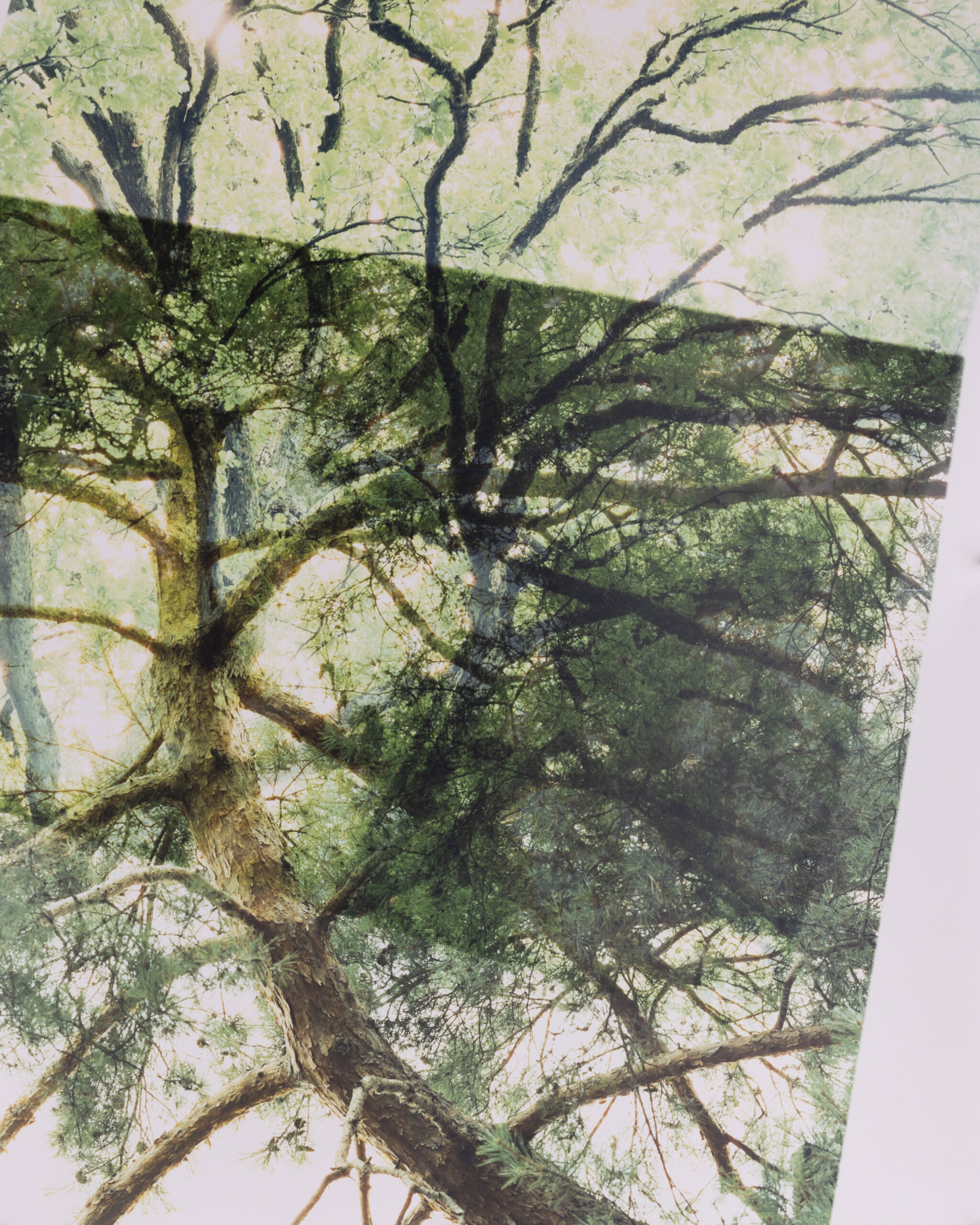 Summerschool_DS_250828_04 Summerschool_DS_250828_04