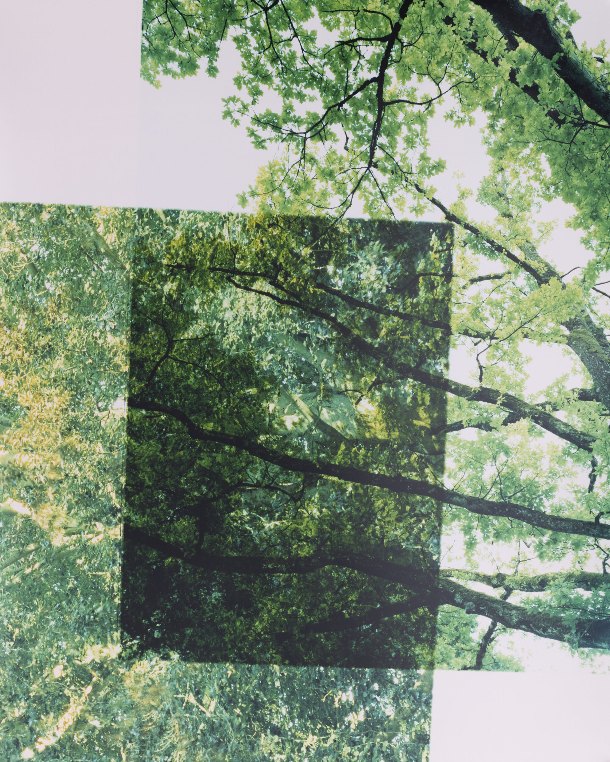 Summerschool_DS_250828_06 Summerschool_DS_250828_06