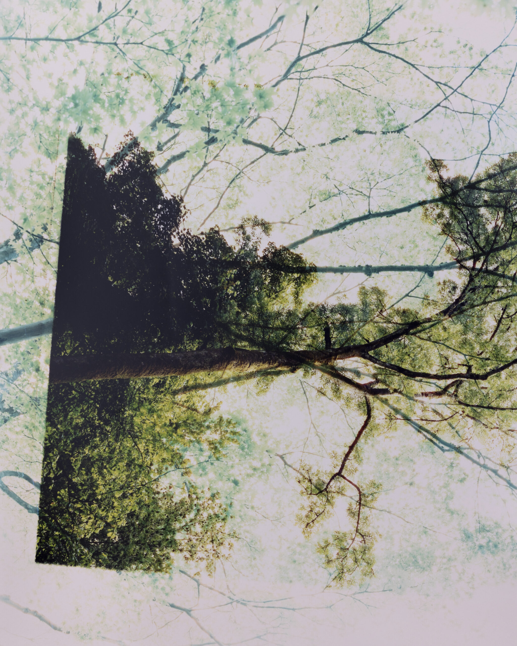 Summerschool_DS_250828_07 Summerschool_DS_250828_07