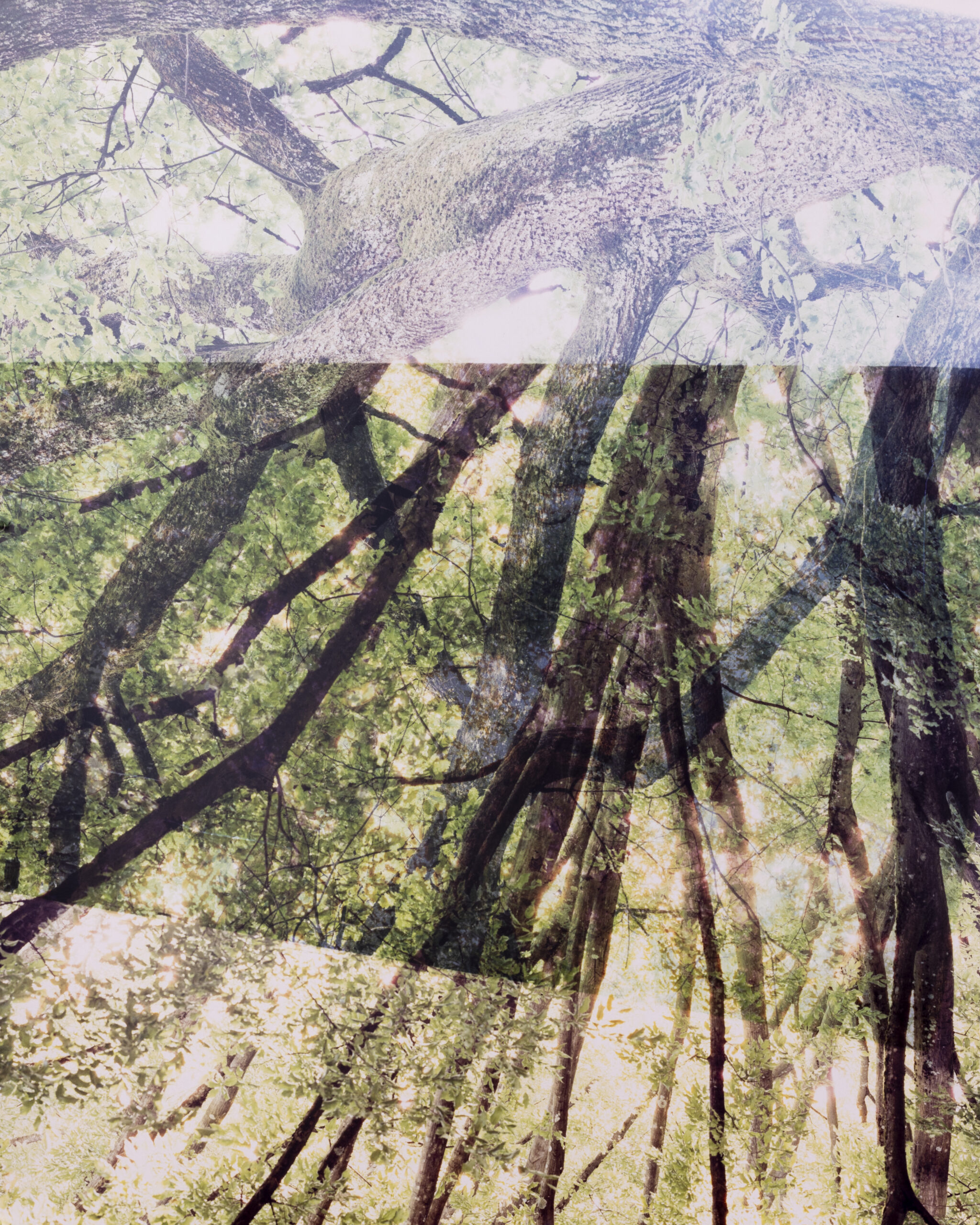 Summerschool_DS_250828_08 Summerschool_DS_250828_08