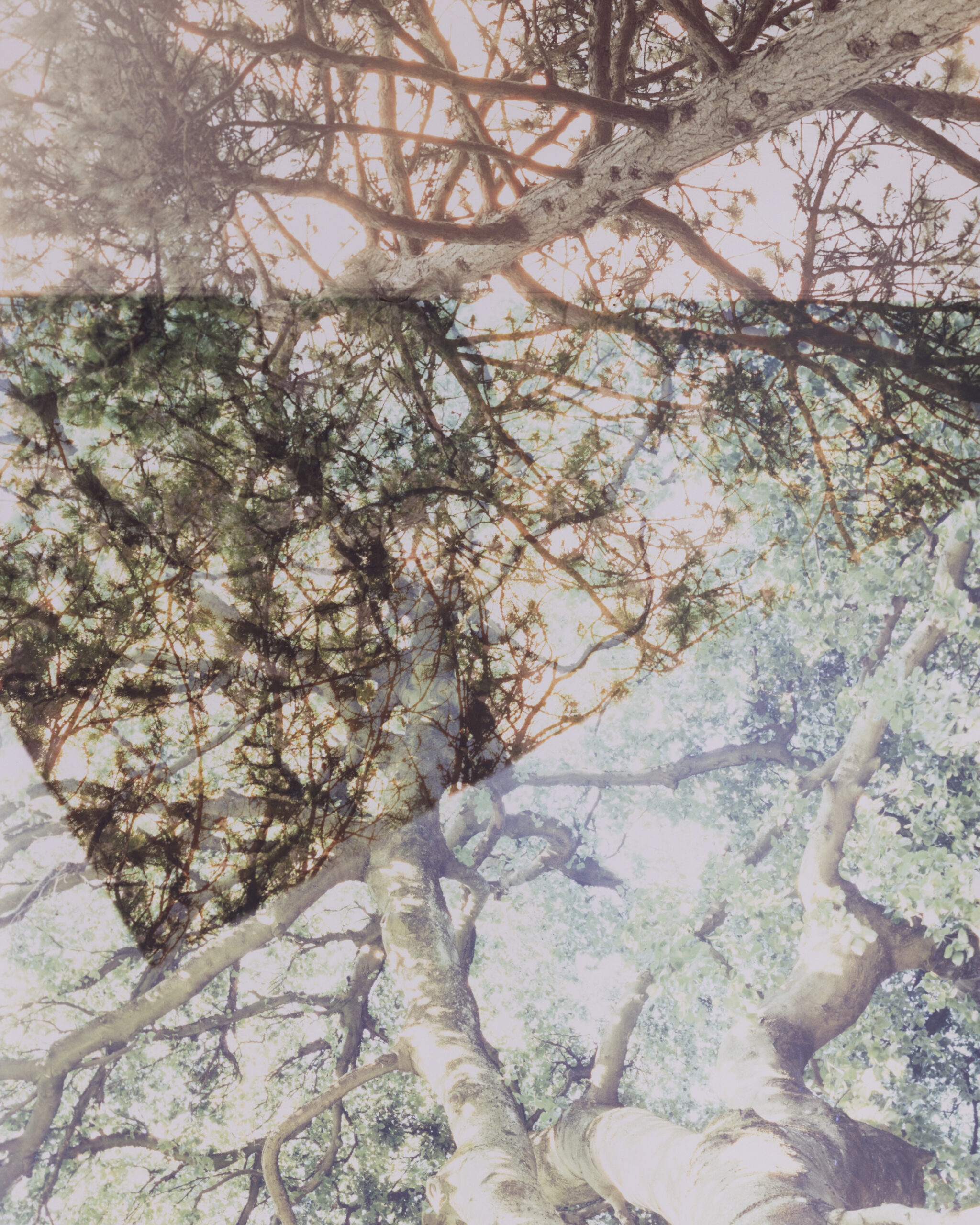 Summerschool_DS_250828_09 Summerschool_DS_250828_09