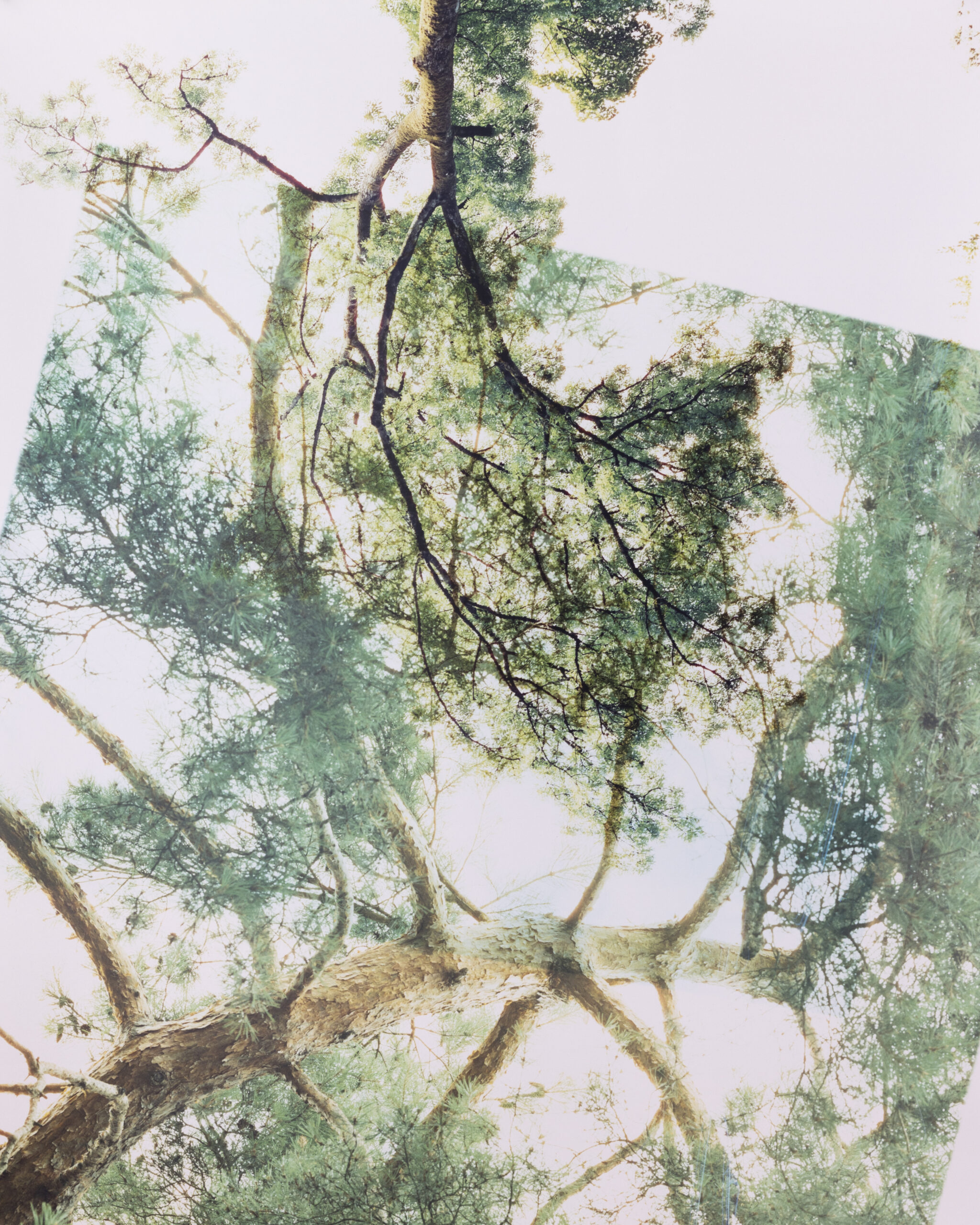 Summerschool_DS_250828_10 Summerschool_DS_250828_10