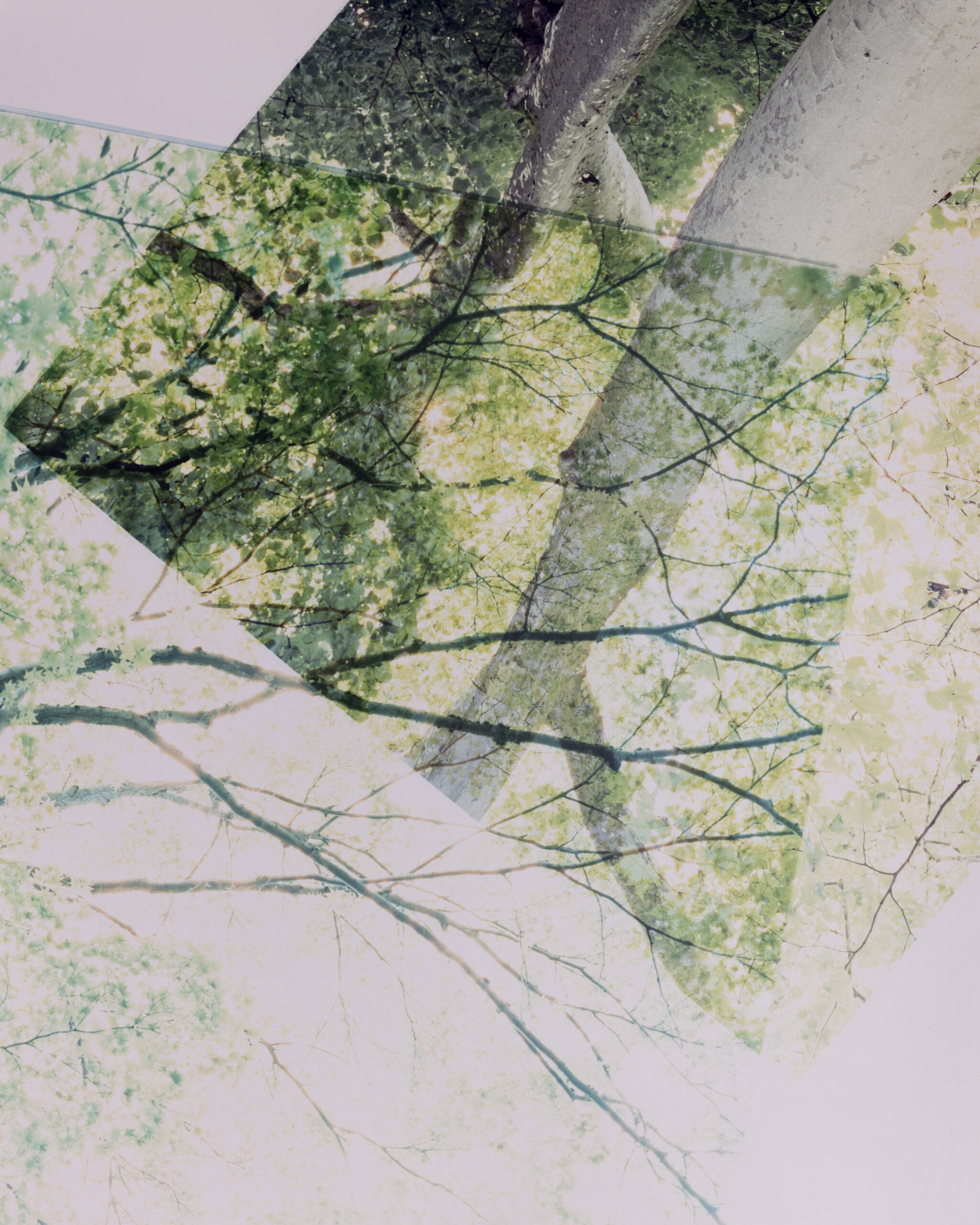 Summerschool_DS_250828_11 Summerschool_DS_250828_11