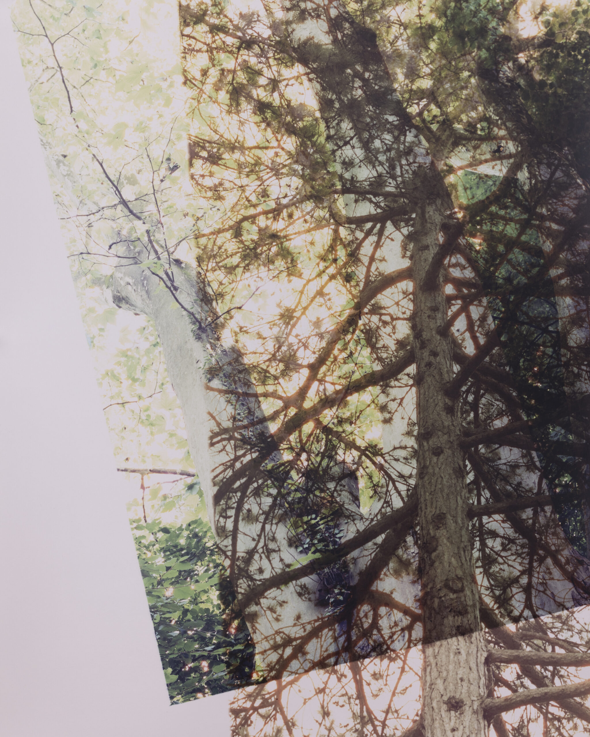 Summerschool_DS_250828_12 Summerschool_DS_250828_12