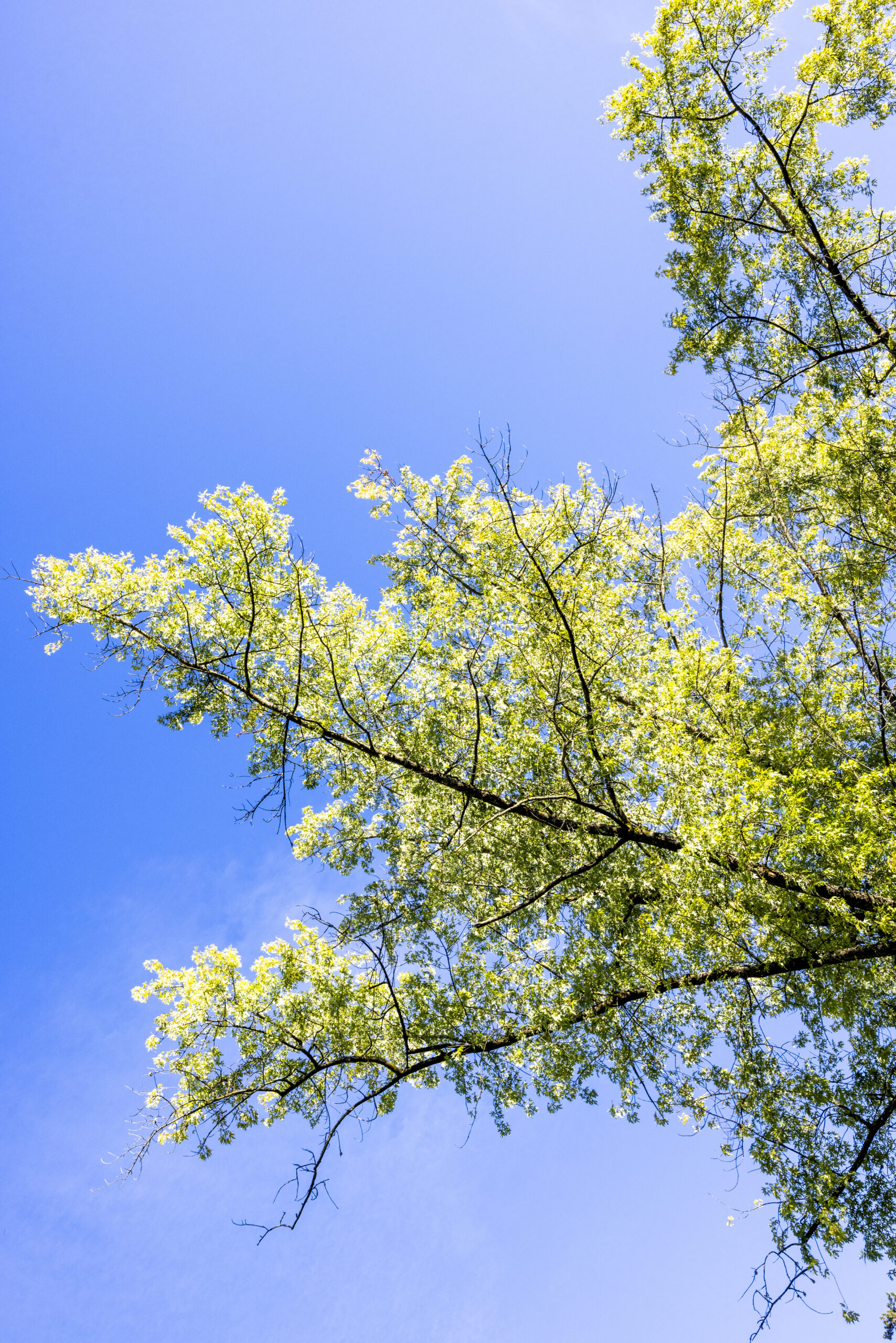 250918_Portrait_Marlon_24