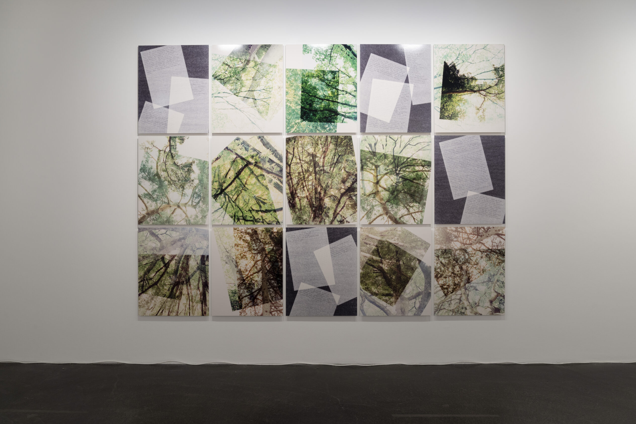 ff-250829-HF-Foto-Schelker-David-Stauffer-Olivia-Showcase-1-So-grùˆn-wie-noch-nie-Claudia-Breitschmid-01 ff-250829-HF-Foto-Schelker-David-Stauffer-Olivia-Showcase-1-So-grùˆn-wie-noch-nie-Claudia-Breitschmid-01