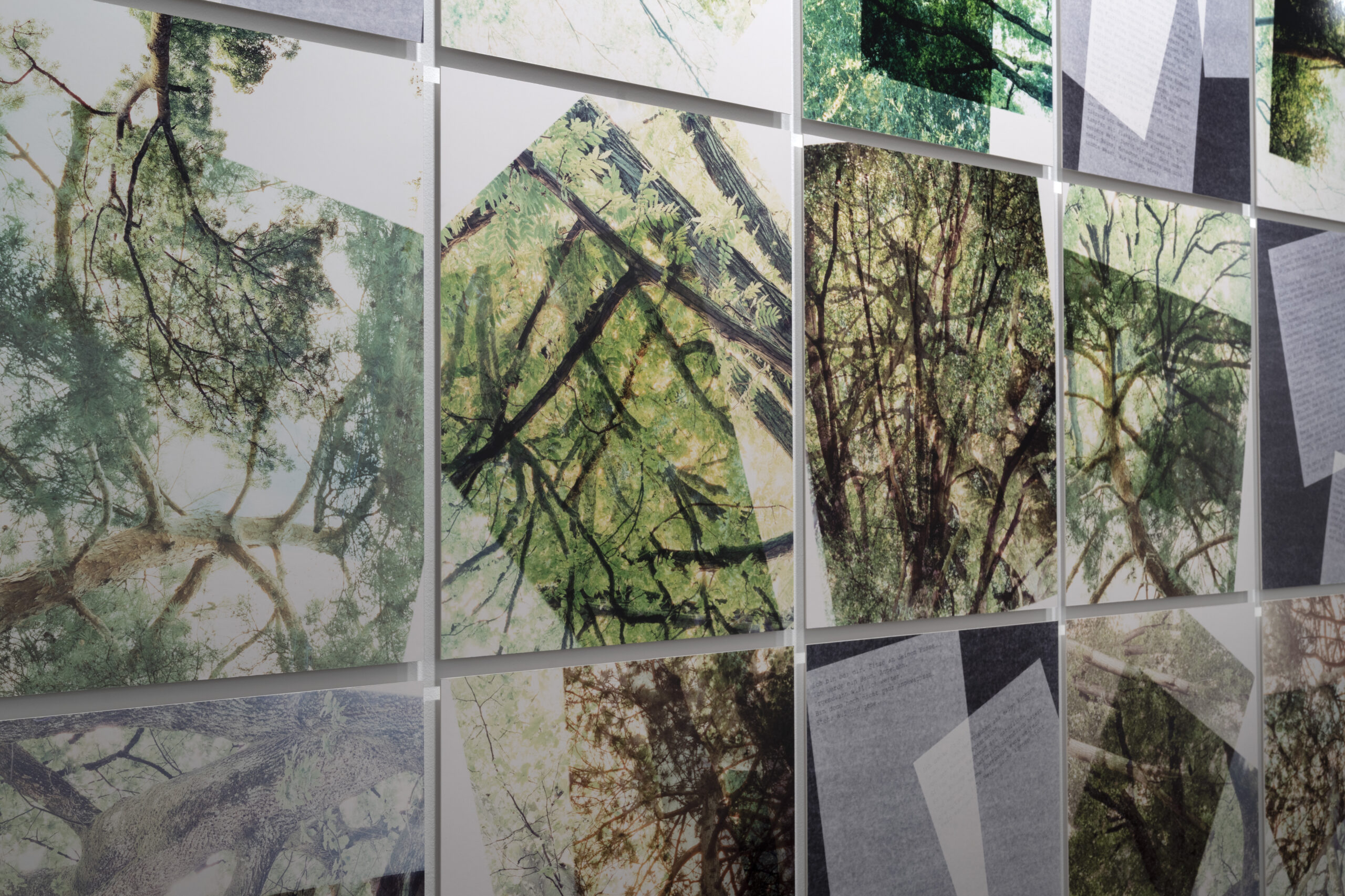 ff-250829-HF-Foto-Schelker-David-Stauffer-Olivia-Showcase-1-So-grùˆn-wie-noch-nie-Claudia-Breitschmid-03 ff-250829-HF-Foto-Schelker-David-Stauffer-Olivia-Showcase-1-So-grùˆn-wie-noch-nie-Claudia-Breitschmid-03