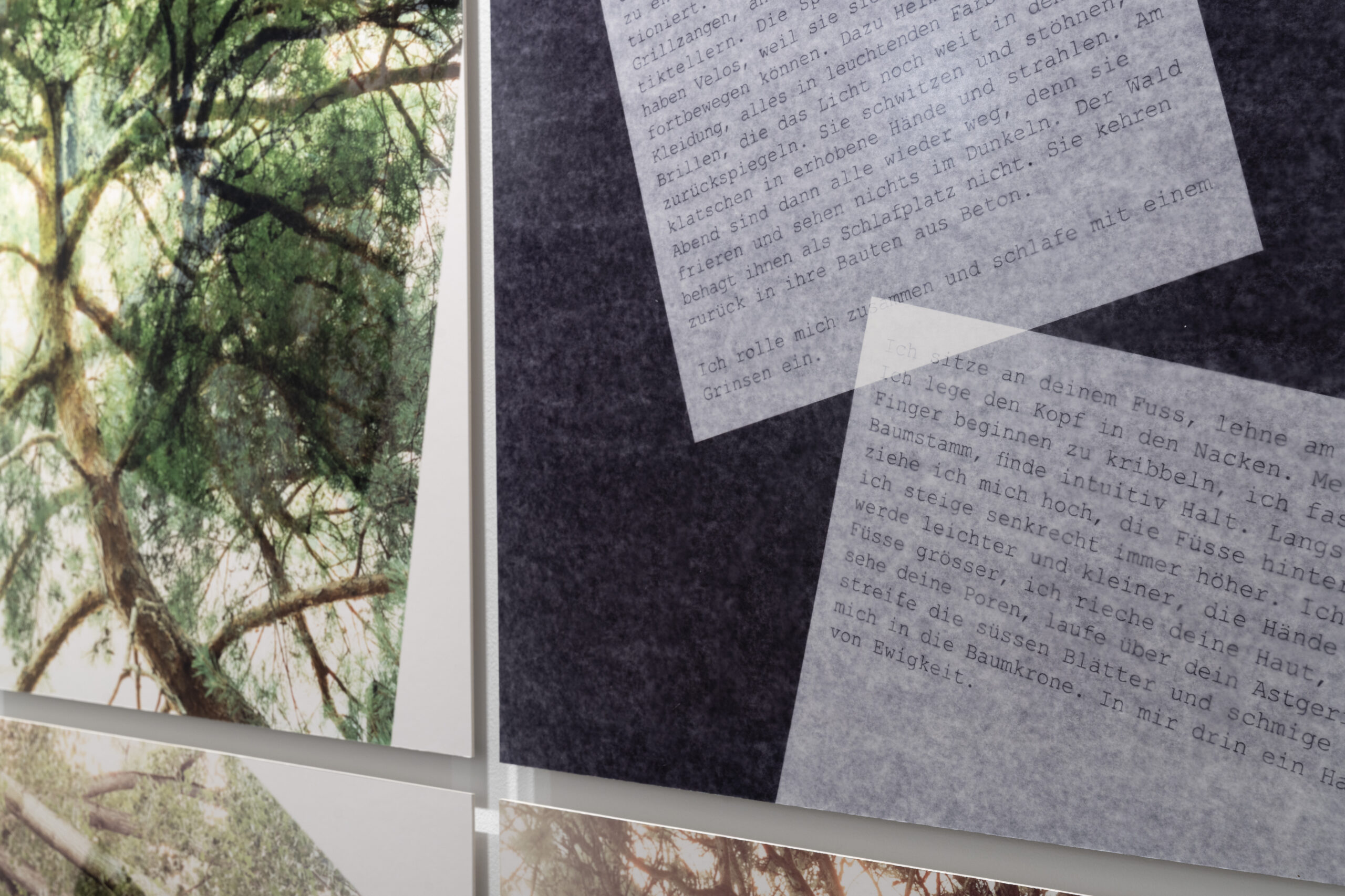 ff-250829-HF-Foto-Schelker-David-Stauffer-Olivia-Showcase-1-So-grùˆn-wie-noch-nie-Claudia-Breitschmid-04 ff-250829-HF-Foto-Schelker-David-Stauffer-Olivia-Showcase-1-So-grùˆn-wie-noch-nie-Claudia-Breitschmid-04