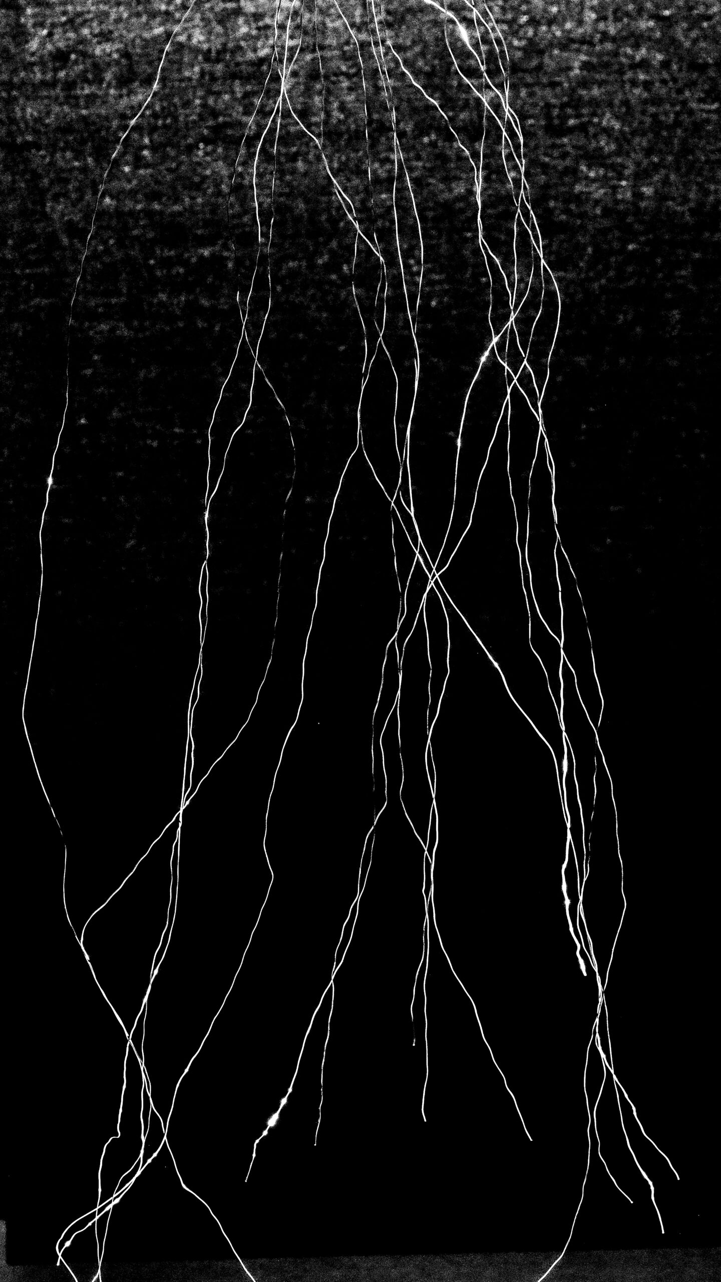 ff-251205-HF-Foto-Schelker-David-Shifting_Realities-Nach_dem_Schweigen-David-Schelker-001