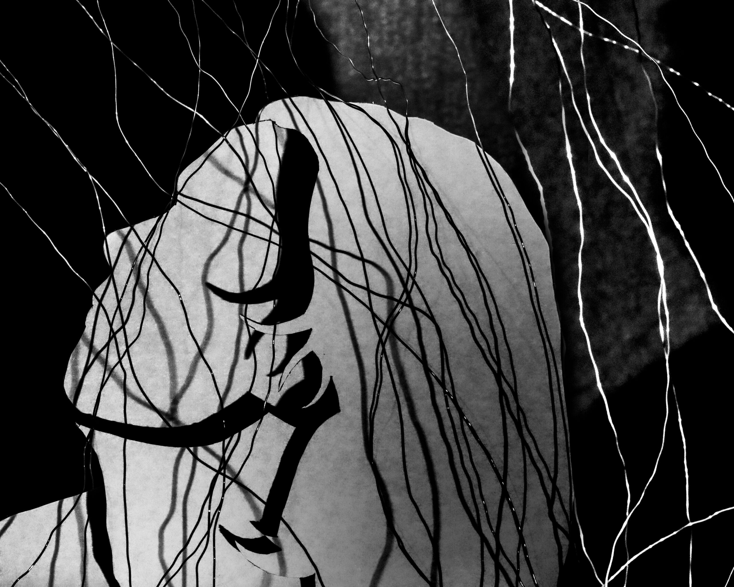 ff-251205-HF-Foto-Schelker-David-Shifting_Realities-Nach_dem_Schweigen-David-Schelker-002