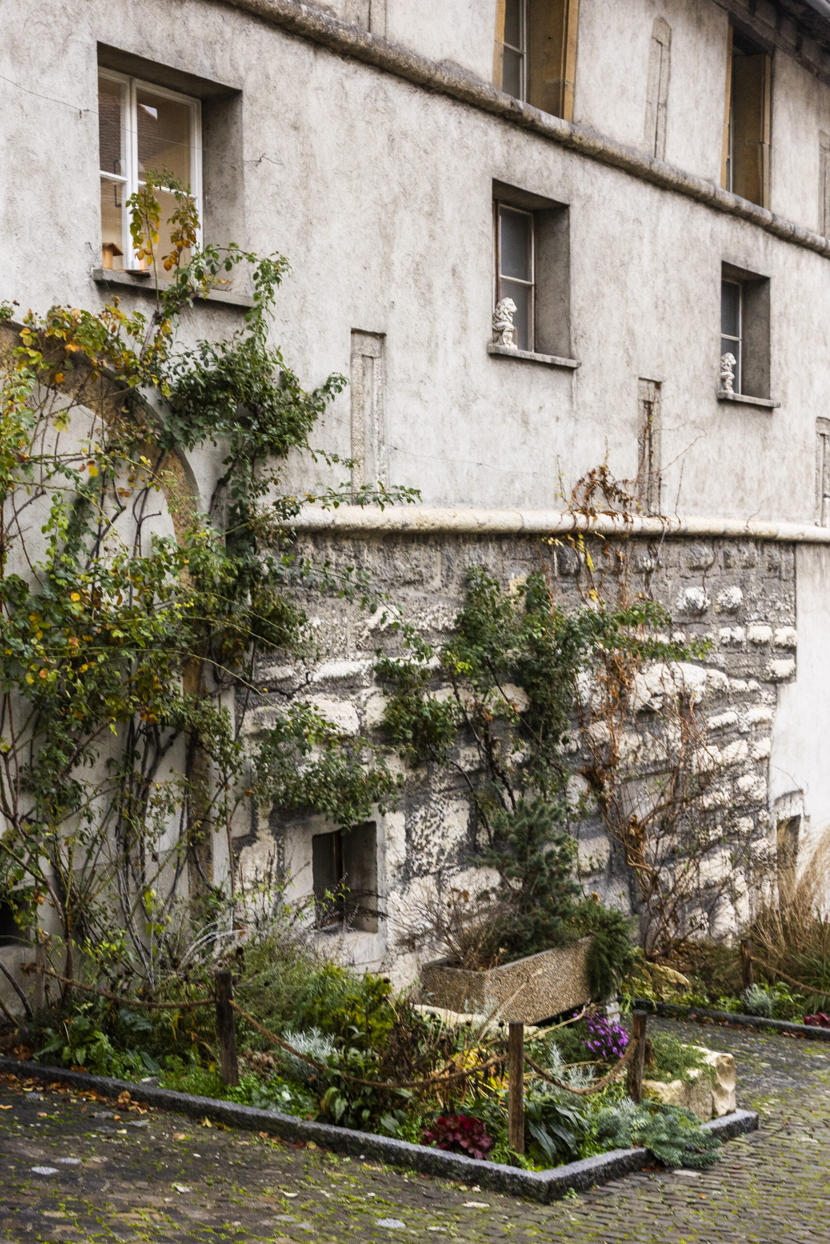 ff-251216-HF-Foto-Schelker-David-nimm platz-fagusnoir für horgenglarus-David-Schelker-010