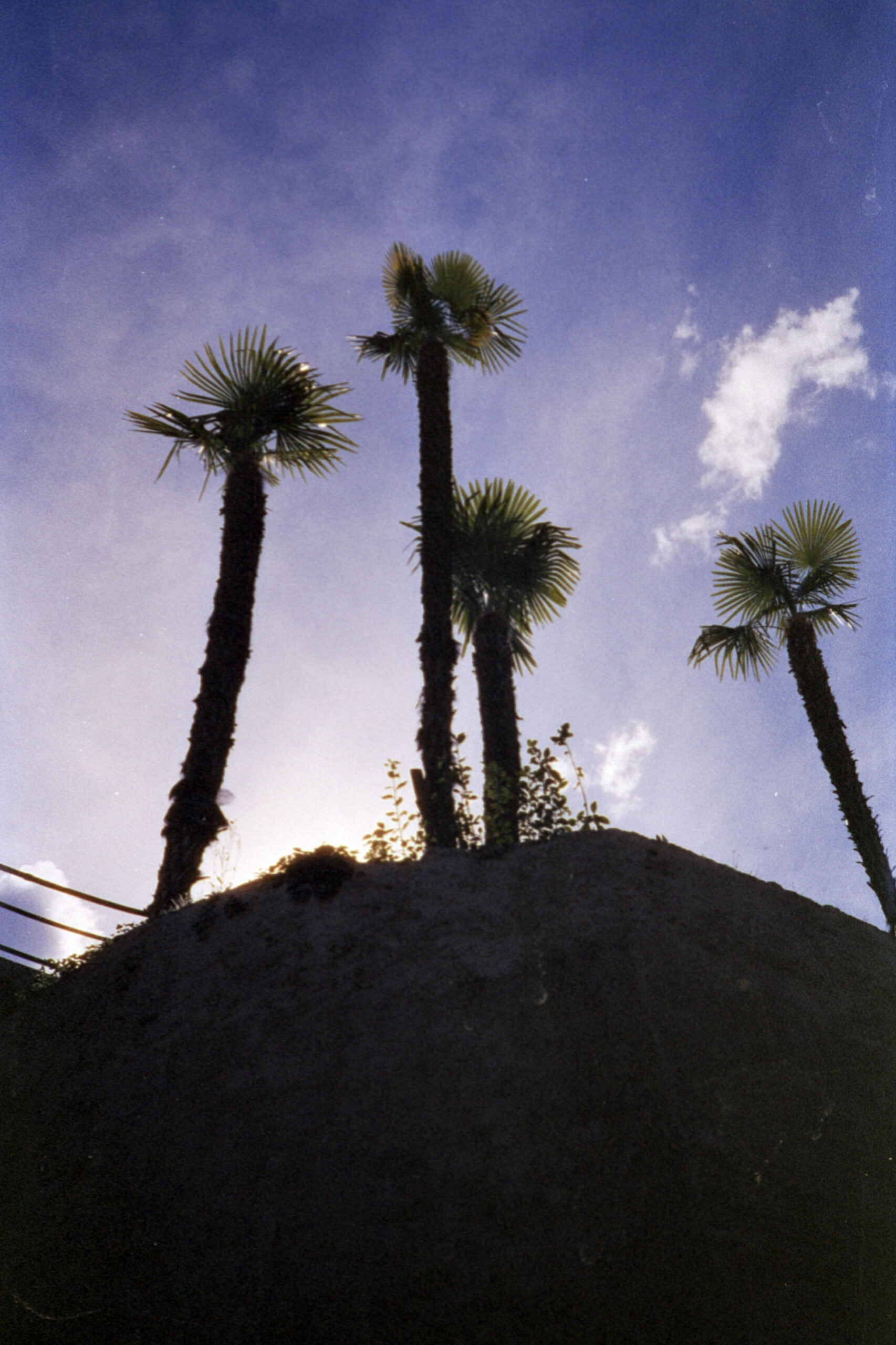 Phoenix_200_8